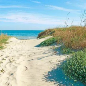 House On The Beach Calambrone